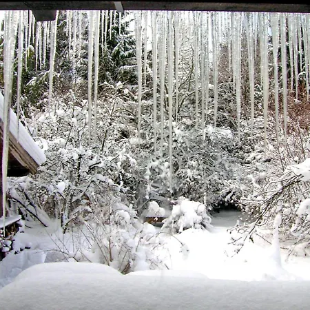 Chalet Chalet Haus Lackner *